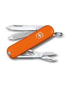 victorinox classic sd 0.6223.8